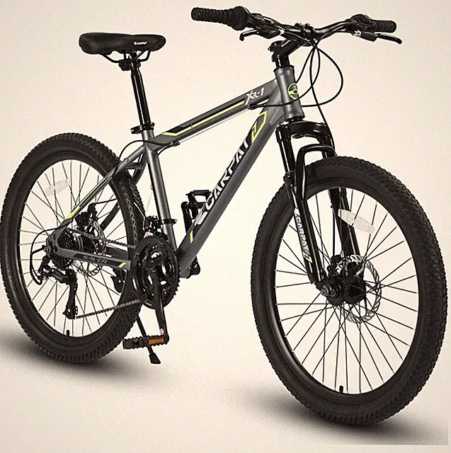 24 Inch Steel Mountain Bike Shimano 21 Speed Mountain Bicycle w/Daul Disc Brakes