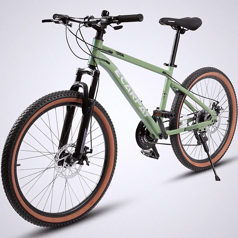 24" Mountain Bike for Teenagers,21 Speeds Carbon Steel Bicycle with Disc Brakes