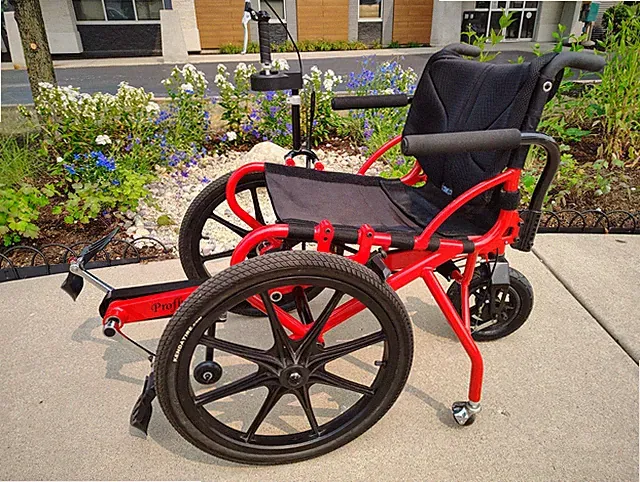 Profhand Neuromodulation Recumbent Cycle Chair Pedal Bike Adaptive Disabled Lg