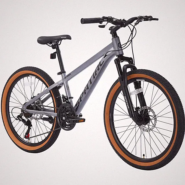 SPATIAL24” Mountain Bike 21Speed Dual Disc Brakes Daily Cycling For Junior/Adult